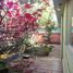 4 Schlafzimmer Villa zu verkaufen in Naucalpan De Juarez, Mexico, Naucalpan De Juarez