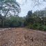  Terreno (Parcela) en venta en Dist Pochutla, Oaxaca, Dist Pochutla