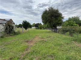  Land for sale in Uruguay Entre Rios, Uruguay