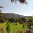 Terrain à vendre à Valle De Bravo, Mexico, Valle De Bravo
