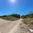  Terreno (Parcela) en venta en Yaxkukul, Yucatán, Yaxkukul