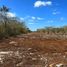  Terreno (Parcela) en venta en Yaxkukul, Yucatán, Yaxkukul