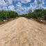  Terreno (Parcela) en venta en Yaxkukul, Yucatán, Yaxkukul