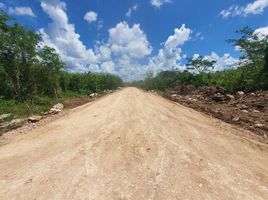 Terreno (Parcela) en venta en Yaxkukul, Yucatán, Yaxkukul