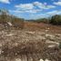  Terreno (Parcela) en venta en Yaxkukul, Yucatán, Yaxkukul
