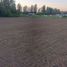  Land for sale in Chile, Retiro, Linares, Maule, Chile