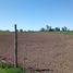  Land for sale in Chile, Retiro, Linares, Maule, Chile