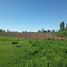 Land for sale in Chile, Retiro, Linares, Maule, Chile