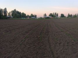 Land for sale in Chile, Retiro, Linares, Maule, Chile