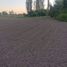  Land for sale in Chile, Retiro, Linares, Maule, Chile