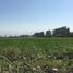  Terreno (Parcela) en venta en Colina, Chacabuco, Colina