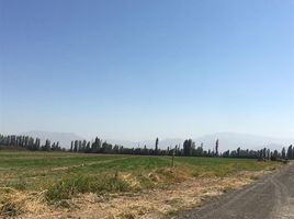  Terreno (Parcela) en venta en Colina, Chacabuco, Colina