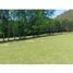  Terreno (Parcela) en venta en Araucanía, Pucón, Cautín, Araucanía