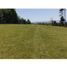  Terreno (Parcela) en venta en Araucanía, Pucón, Cautín, Araucanía