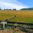  Land for sale in Chile, Villarrica, Cautin, Araucania, Chile