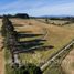  Land for sale in Chile, Villarrica, Cautin, Araucania, Chile