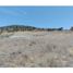  Terreno (Parcela) en venta en Colina, Chacabuco, Colina