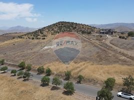  Terreno (Parcela) en venta en Colina, Chacabuco, Colina