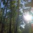  Land for sale in Los Rios, Mariquina, Valdivia, Los Rios