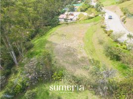  Land for sale in Rionegro, Antioquia, Rionegro