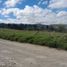  Land for sale in Valle, Cuenca, Valle