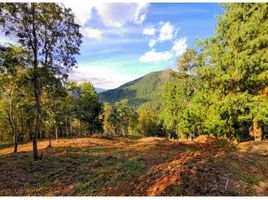  Land for sale in Caldas, Antioquia, Caldas