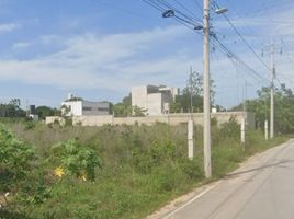  Grundstück zu verkaufen in Conkal, Yucatan, Conkal
