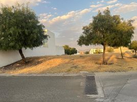  Grundstück zu verkaufen in Queretaro, Queretaro, Queretaro, Queretaro