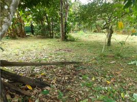  Terrain for sale in Penonome, Cocle, Penonome, Penonome