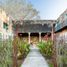 1 Bedroom Apartment for sale in Seye, Yucatan, Seye