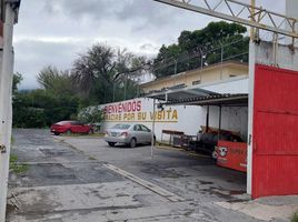 Grundstück zu vermieten in Monterrey, Nuevo Leon, Monterrey