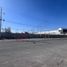  Land for rent in Celaya, Guanajuato, Celaya