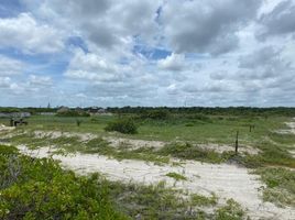  Grundstück zu verkaufen in Carmen, Campeche, Carmen