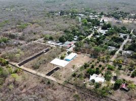  Terreno (Parcela) en venta en Uman, Yucatán, Uman