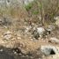  Terreno (Parcela) en venta en Uman, Yucatán, Uman