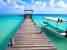  Terreno (Parcela) en venta en Othon P Blanco, Quintana Roo, Othon P Blanco
