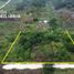  Terreno (Parcela) en venta en Othon P Blanco, Quintana Roo, Othon P Blanco