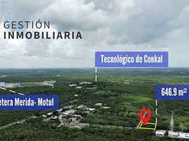  Grundstück zu verkaufen in Yaxkukul, Yucatan, Yaxkukul