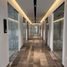 36.45 m² Office for rent in Merida, Yucatan, Merida