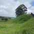  Land for sale in Pereira, Risaralda, Pereira, Risaralda