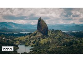  Terreno (Parcela) en venta en Guatape, Antioquia, Guatape