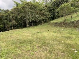  Terreno (Parcela) en venta en Girardota, Antioquia, Girardota