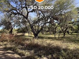  Grundstück zu verkaufen in Junin, San Luis, Junin