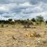  Land for sale in Punilla, Cordoba, Punilla