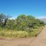  Land for sale in Junin, San Luis, Junin, San Luis