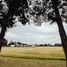  Terreno (Parcela) en venta en Brandsen, Buenos Aires, Brandsen