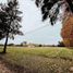  Terreno (Parcela) en venta en Brandsen, Buenos Aires, Brandsen