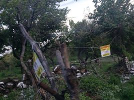  Terreno (Parcela) en venta en Tepoztlan, Morelos, Tepoztlan