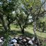  Terreno (Parcela) en venta en Tepoztlan, Morelos, Tepoztlan