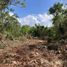  Land for sale in Valladolid, Yucatan, Valladolid